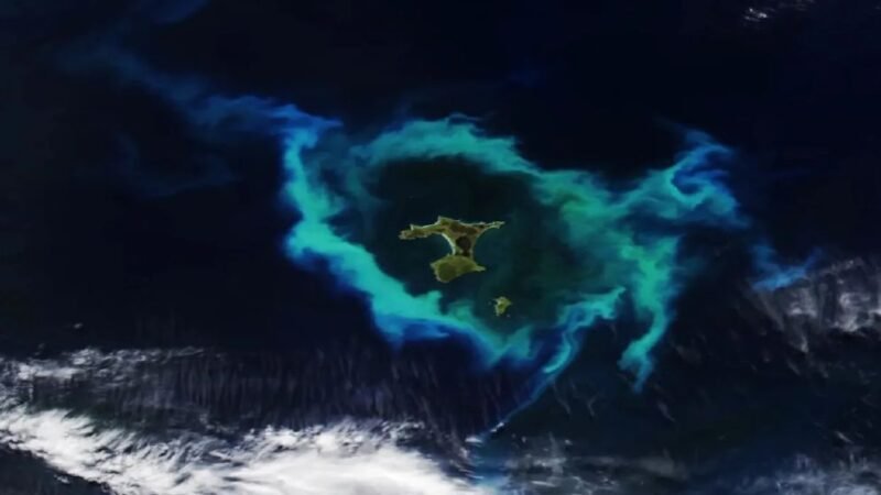 Giant ring of glowing plankton outlines deadly underwater structure