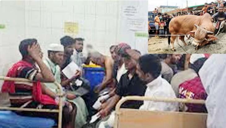 Over 50 hurt while slaughtering sacrificial animals in Sylhet