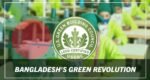 Four new RMG factories get LEED certification