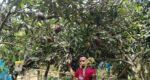 How schoolteacher turned a hillside in Moulvibazar into a fruit paradise