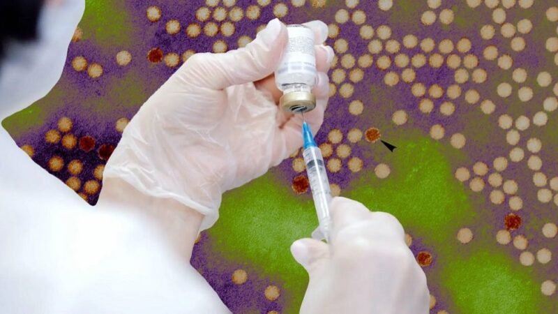 ‘World-first’ vaccine designed by artificial intelligence
