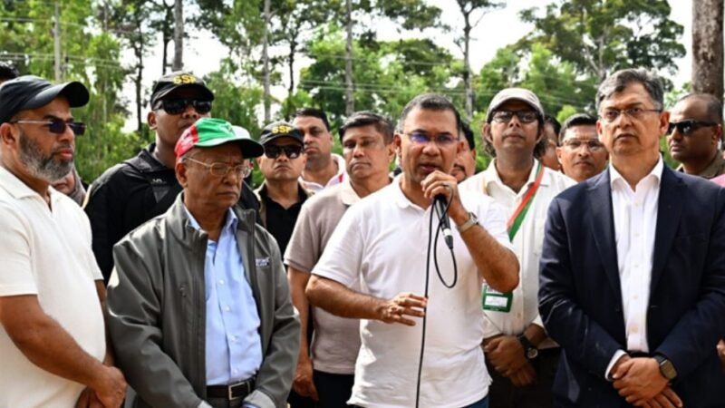 PM Tarique urges every citizen to plant trees to ensure clean environment