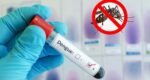 Govt hospitals ordered to provide free dengue tests until 31 Dec