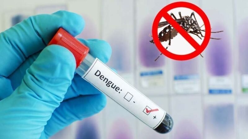 Govt hospitals ordered to provide free dengue tests until 31 Dec