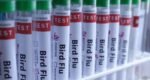 New Zealand detects H5 bird flu