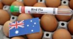 Australia confirms H5N1 bird flu case in Australian seabird for first time