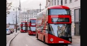 City Hall backs ‘Bill of Rights’ for bus drivers