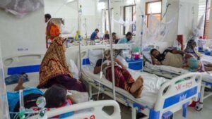 Dengue death toll rises to 50 this year