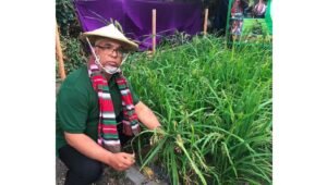 A New Chapter : Azom Khan Pioneers Rice Cultivation in Britain