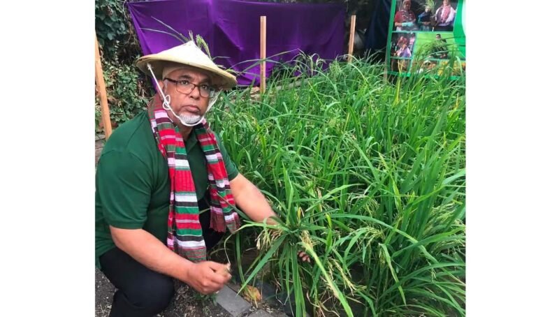 A New Chapter : Azom Khan Pioneers Rice Cultivation in Britain