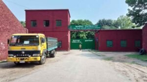Carew poised for record profit despite sugar factory losses