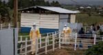 Congo Ebola outbreak tops 5,000 cases