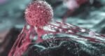 A common sugar may help cancer cells break free and spread