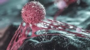 A common sugar may help cancer cells break free and spread