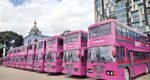 Pink buses to run on 9 specific routes