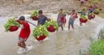 Chattogram’s ‘Kanchan Guava’ earns Tk 6cr in season, finds overseas markets