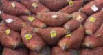 Green chilli imports resume thru Hili port after more than 8 months