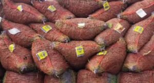 Green chilli imports resume thru Hili port after more than 8 months