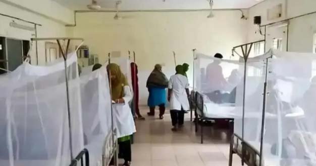 Dengue situation worsens in Khulna as interns go on strike