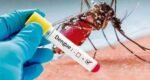 Health experts urge early testing, timely treatment to reduce dengue deaths