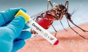 Health experts urge early testing, timely treatment to reduce dengue deaths