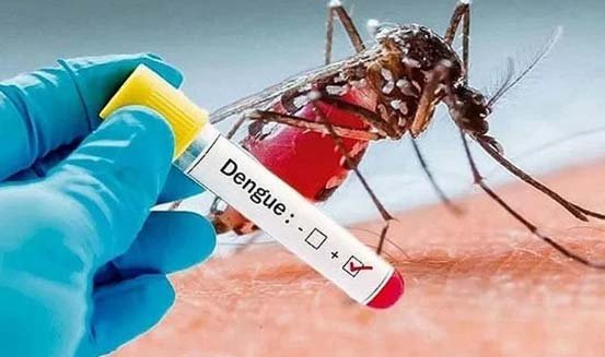Health experts urge early testing, timely treatment to reduce dengue deaths