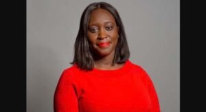 Labour chair of housing committee calls for urgent funds for affordable homes in England