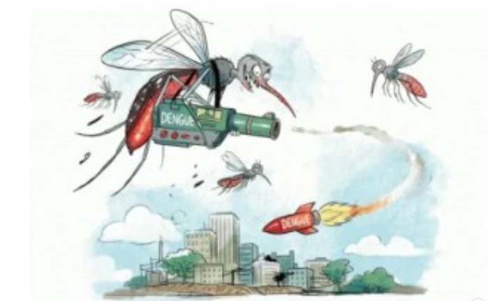 Nine more die of dengue as yearly infections exceed 103,000