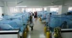 Dengue: 4 new deaths, 1,512 fresh patients