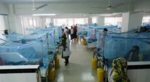 Dengue: 4 new deaths, 1,512 fresh patients