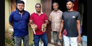 22 wild animals rescued from Sreemangal areas in September